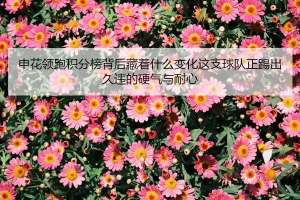 申花领跑积分榜背后藏着什么变化这支球队正踢出久违的硬气与耐心