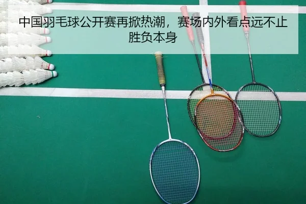 zhong-guo-yu-mao-qiu-gong-kai-sai-zai-xian-re-chao-sai-chang-nei-wai-kan-dian-yuan-bu-zhi-sheng-fu-ben-shen-3-532.jpg
